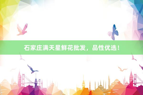 石家庄满天星鲜花批发，品性优选！
