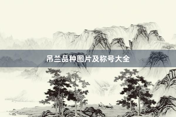 吊兰品种图片及称号大全