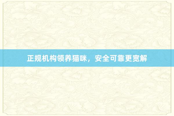 正规机构领养猫咪，安全可靠更宽解